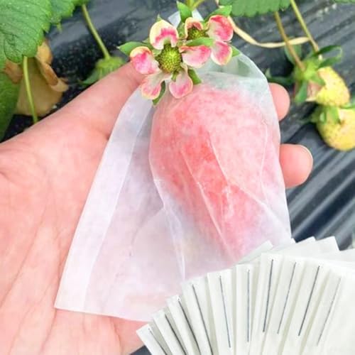 Juego de 100 tenedores y bolsas de fresas de jardín para cosecha y transporte de frutas
