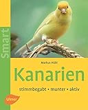  Kanarien: Stimmbegabt - munter - aktiv (SMART)