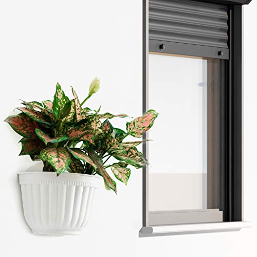 8 Pcs Colorful Resin Wall Hanging Planter Pot Vertical Garden Living Wall Mount Window Hang Indoor Outdoor Plant Flower Basket For Kitchen Herb Balcony Railing Shelf Fence Bedroom Trellis Decor Modern #TOP6