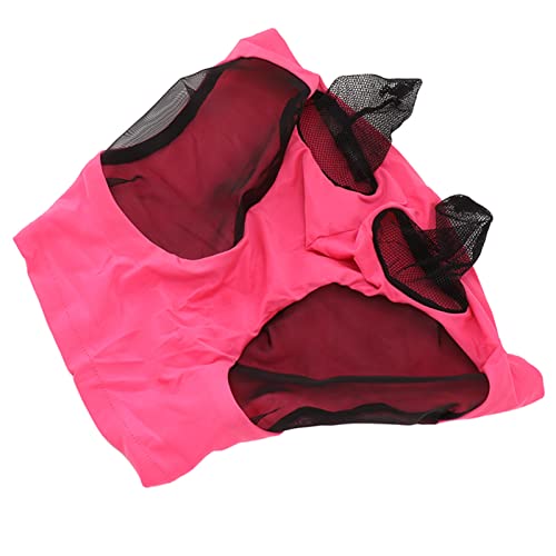 Fdit Horse Fly Mask with Long Nose and Ears, All Around Protection, Size Arab, Cob, Small , Breathable (Rose Red)
