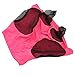 Dioche Anti Fly HBreathable Horse Fly Mask with Ears Protection - Elastic & Comfortable Horse - & Protection for All Breeds - Ideal Equestrian Gear (Rose Red)