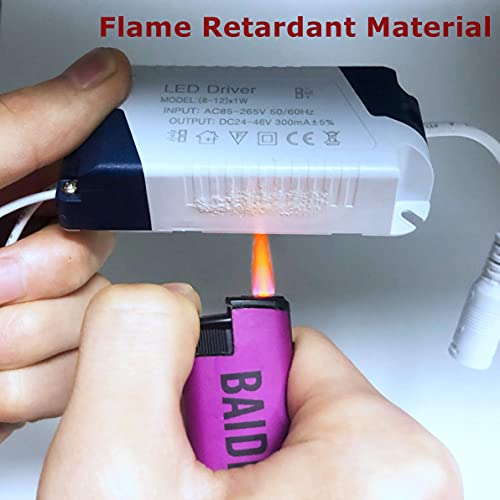 Led Driver (12-18) X1W Constant Current 300Ma Transformer High Power Supply Converter Output Dc 36-72V External Led Ceiling Lamp Rectifier (1 Pack) #TOP4