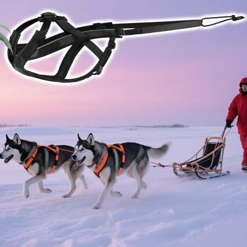 Zughundegeschirr - Reflektierendes Laufgeschirr Für Hunde | Bequemes Verstellbares Zugseil Für Training Joggen Schlittenziehen Sport