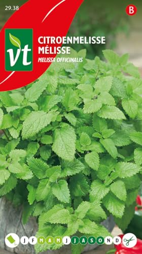Lemon Balm - Herb Seeds
