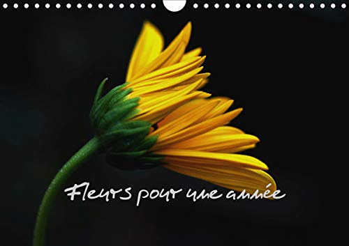 Fleurs pour une annee (Calendrier mural 2021 DIN A4 horizontal): Quelques splendides fleurs pour vos yeux (Calendrier mensuel, 1