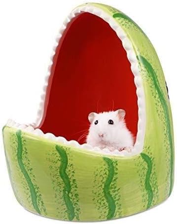 chew proof hamster cage