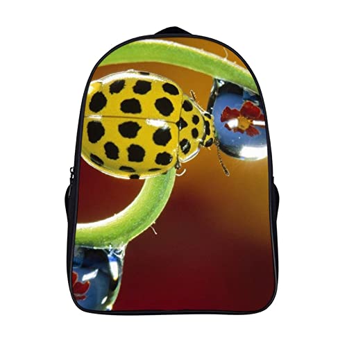 Cartable de mode enfants sac à dos d'école animal ladybug 3D cool backpack