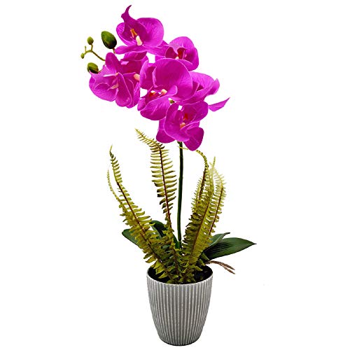 Aisamco Flores de orquídeas Artificiales con Maceta Gris Flores de Phalaenopsis de plástico Falso Bonsai con Maceta para decoración de Centro de Mesa de Fiesta de Oficina de Boda en casa
