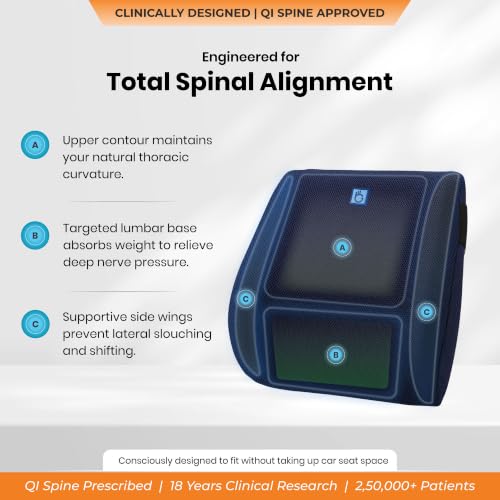 Image of Travel Plus Cushion for Lowerback Support | 5-Year Warranty | High Resilience (HR) Foam | for Lower Back Pain Relief and Spinal Alignment | for Flights, Car Seats, and Office Chair(Blue)