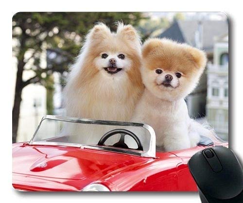 Gaming Mouse Pads, Dog Lovers Great Dane Dog, costura de precisão, rato pad duradouro