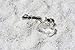 Custom Crystal Quartz Stone Tie Tack Handmade - Quantity of 1
