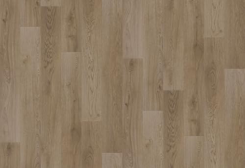  NbVtA CFV[gH 182cm 1mP (x1m) (CF9627)