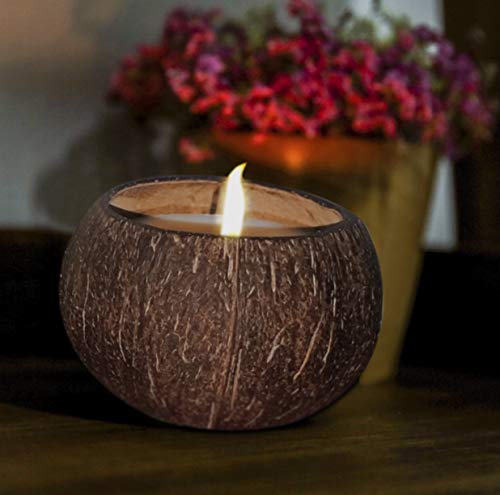 Coconut Bowl Candle – 14Oz Premium Soy – Wood Wicked Coconut Scented Candle – Natural Coconut Shell – Eco Friendly – Ideal For Home And Beach Décor – Aromatherapy Candle #TOP5