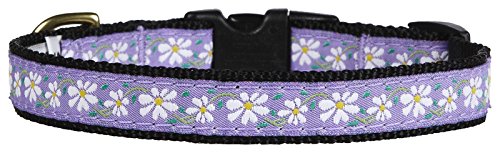 Collier marguerite avec boucle robuste et réglable taille X-Small
