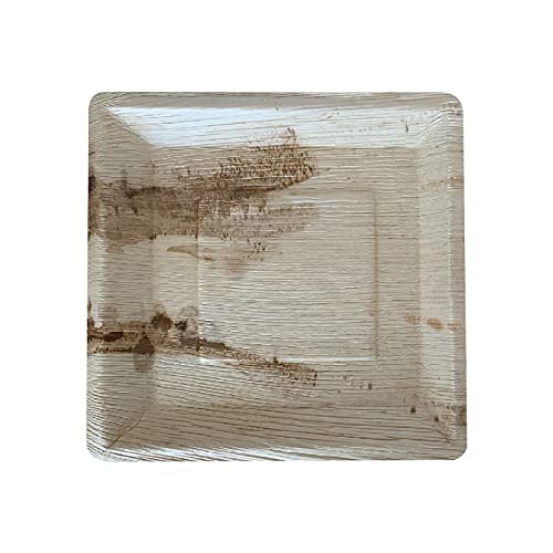Bio Mart - Areca Palm Leaf Square Dinnerware Set With 8-Inch And 10-Inch Flat Square Dinner Plates, 15 Inches X10 Inches Oval Rectangular Platter, 5-Inch Square Bowl, And Cutlery Set, 62 Pieces #TOP3