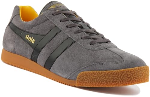 Image of Gola Harrier