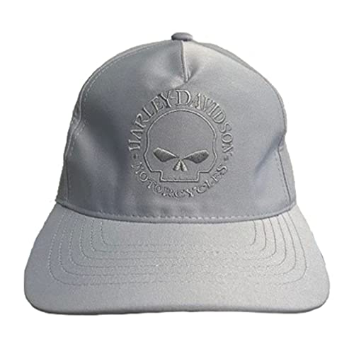 Motorcycles Best HarleyDavidson Fabric Panel Motorcycles