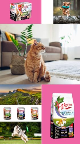 Pure - Hypoallergenes Hundefutter - Ohne Huhn/Weizen - Kleine Rassen - Lachsgeschmack - 3kg