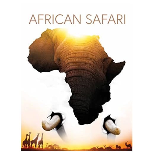 African Safari