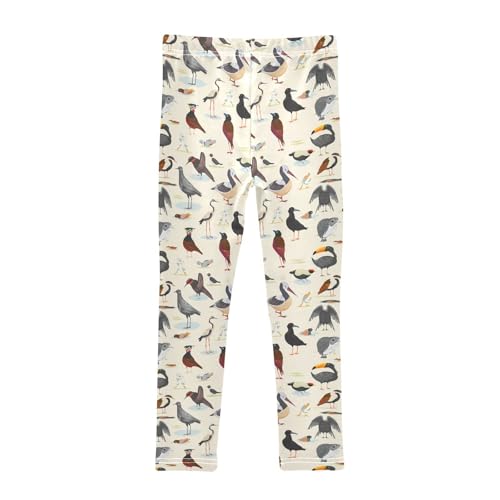 Girls' Leggings Birds Beige Kids Yoga Tights Pants 1 Pack 208619912