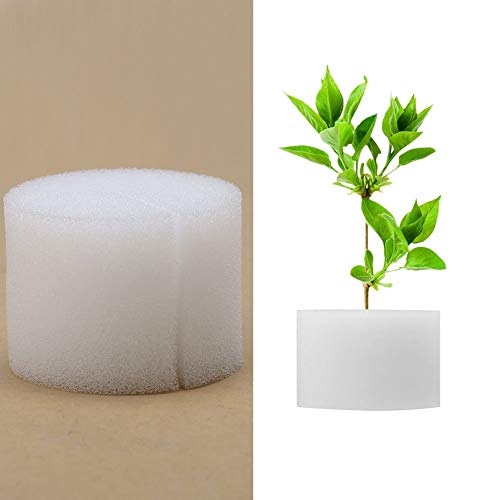 50Pcs/set Hydroponic Eponge Hors-sol Éponges Soilless Système de Culture des Légumes Plantation Outil de Jardinage Pots Légumes Plante Culture Végétale d'herbe Culture de J (50mm / 2.0')
