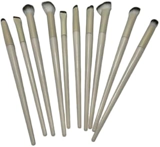 فرشاة مكياج/ نمط جديد/ BR-02A