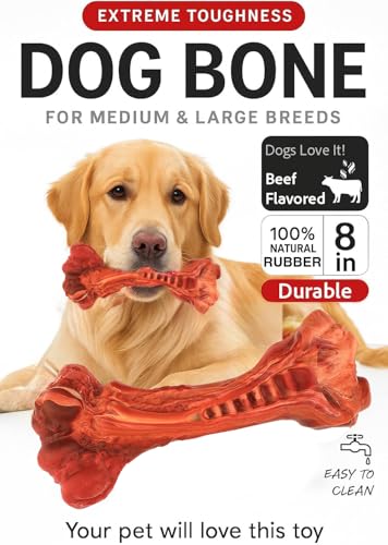 Dog Chew Toy - Natural Rubber Dog Toy, Beef Flavor – Dog Toys for Medium & Large Dogs - Bone-Shaped Chew for Dental Health - Indoor and Outdoor Play - Image 3