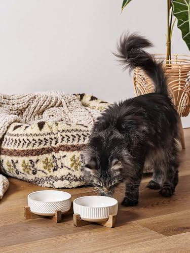 LE TAUCI Ceramic Dog and Cat Bowl Set with Stand - 2 Cup