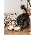 Ceramic Dog and Cat Bowl Set with Acacia Wood Stand - 2 Cup Weighted Non-Slip Food and Water Bowls for Small Dogs & Cats, Lines + Dot - Image 2