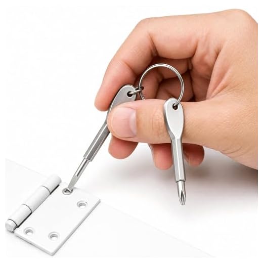 Steel Keychain Pocket Screwdriver Set Multifunction EDC Repair Tool Compact Outdoor Utility Accessory for Daily Use (Silver,6.5cm)