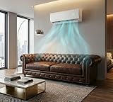 Ambra B0GN3R4BX3 lato 3