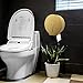 VANNSOO Commercial Gold Toilet Paper Dispenser and Paper Towel Dispenser Bundle