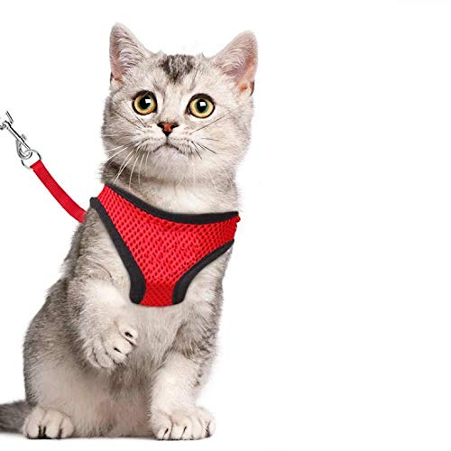 Kitten Harness with Lease Size : Medium Neck Size : 32 cm circumferenmces x 15 cm Length Please Check Size Before Buying (B08127TG32) Amazon Price History, Amazon Price Tracker