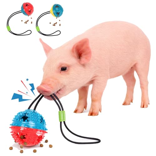 Enochainchin 2Pcs Pig Enrichment Toys – Hanging Treat Ball for Pellets & Grains, Chew & Slow Feeder Toy with Rope for Mini Pigs