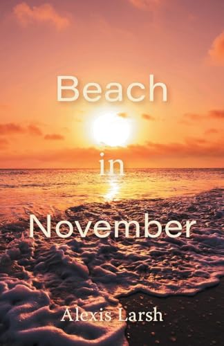 Beach in November