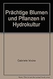 Leni Hydrokultur Bergneustadt,