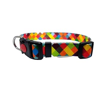 PawCloud Printed Dog Collar - Medium, Multicolor
