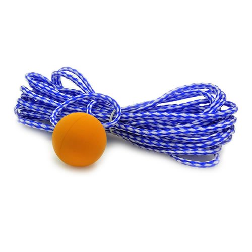 don sullivan's perfect dog training