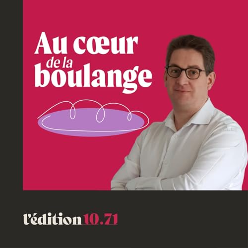 Au coeur de la boulange, la parole aux artisans boulangers [fournil, labo, pain, farine, bl&eacute;, levain, levure, boulange