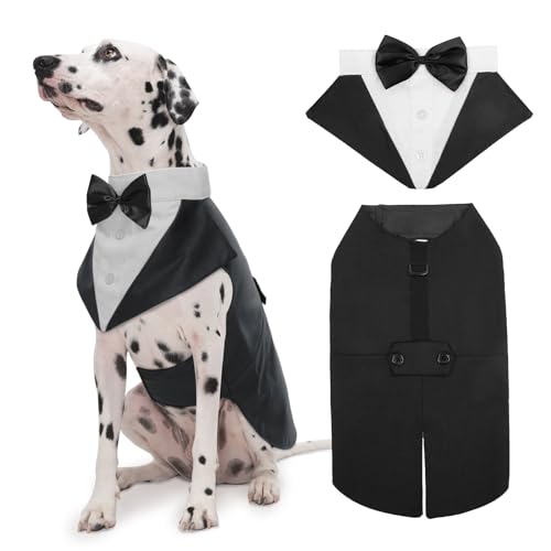 Costume chien tuxedo Kuoser avec bandana cravate