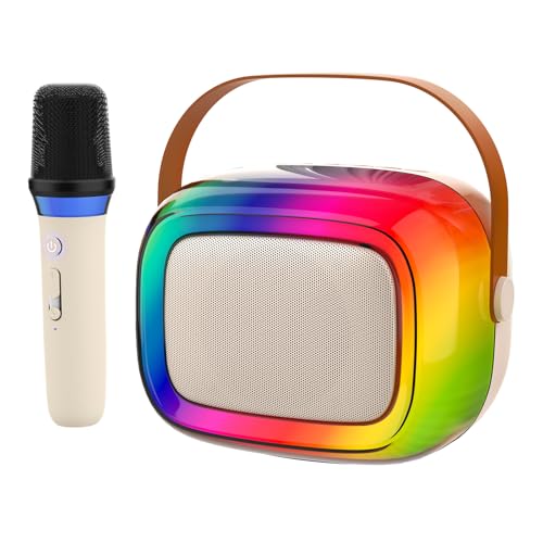 Microphone sans fil avec mini haut-parleur pour chanter en famille à la maison