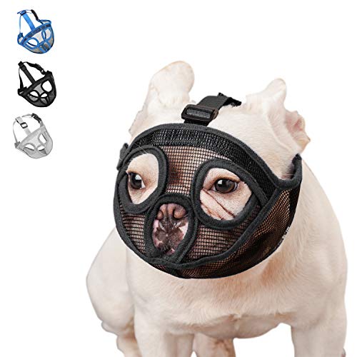 Top 10 Best Shih Tzu Muzzles Available [Updated 2024]