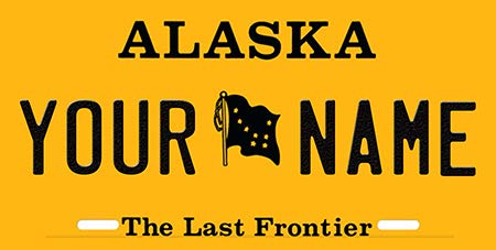 BNS Personalized Mini License Plate/Tag - Bicycle - Toy Car - Wagon - Golf Cart etc.Any State/Any Theme