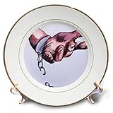 3dRose 8 inch Porcelain Plate...