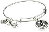 Alex and Ani Rafaelian Silver-Tone Initial 