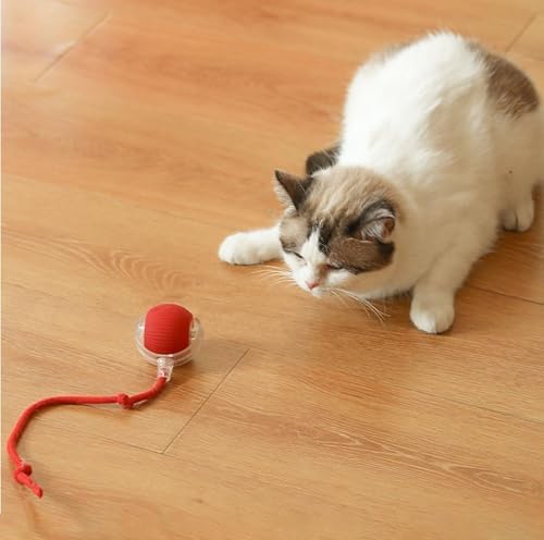 Busstier Akıllı Kedi Oyuncağı, Otomatik Yuvarlanan İnteraktif Top, Hareketli Kuyruk, USB Şarjlı, LED Işıklı, 3 Oyun Modu, Evcil Hayvanlar İçin Eğlenceli Oyuncak - Görsel 6