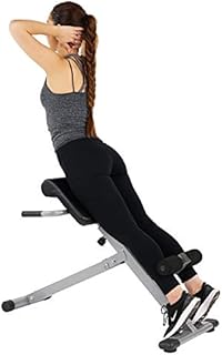 Sunny Health & Fitness SF-BH6629 45 Degree Hyperextension Roman Chair