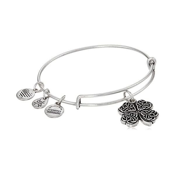 Alex and Ani A17EB28RS Four Leaf Clover IV Rafaelian Silver Bangle Bracelet