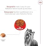 Royal Canin Yorkshire Terrier Aliments pour chiens secs adultes, 10 Sac en lb