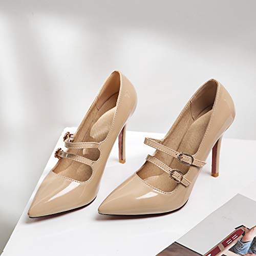 LEHOOR Women High Stiletto Heel Pointed Toe Mary Jane Pumps Ankle Straps Slip On Buckle Sexy Comfortable Dress Shoes 5-15 M US2